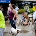 Pets and their owners during the 3rd annual Dog Days of Summer on Saturday, July 27. Daniel Brenner I AnnArbor.com